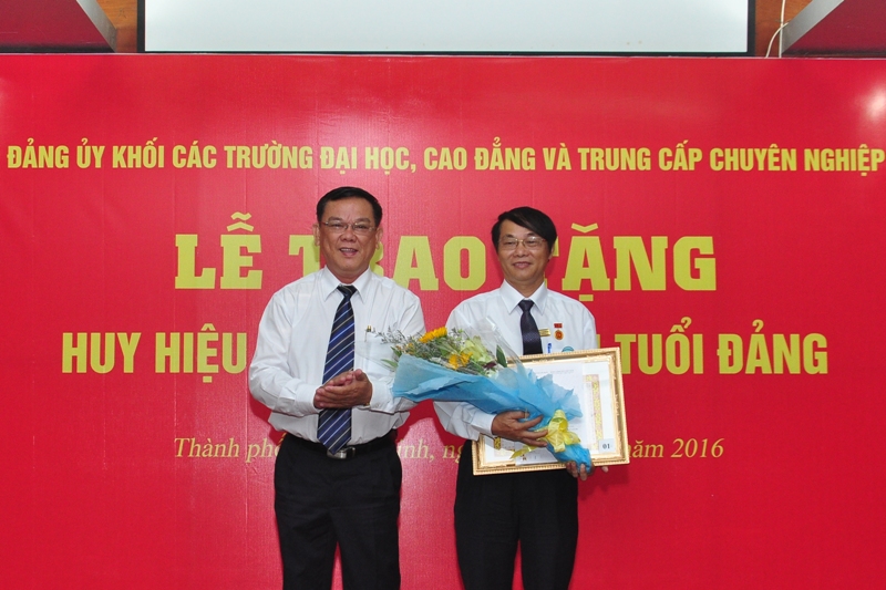 cá cược thể thao hul city